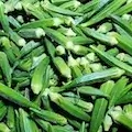 East Indian Okra Pods