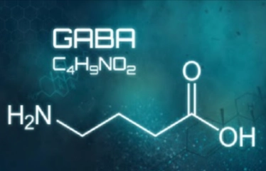GABA