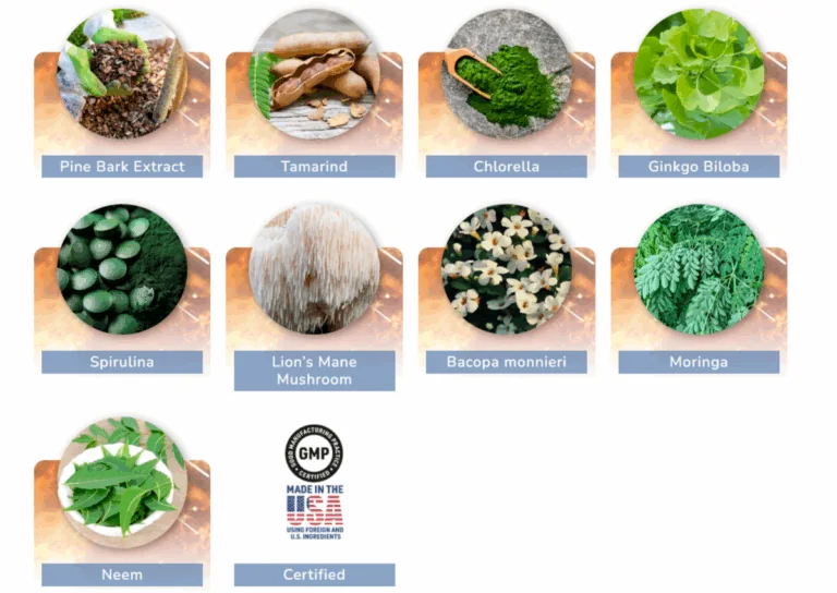 JointVive Key Ingredients