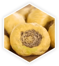 Maca Root