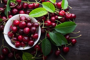 Red Tart Cherry Extract