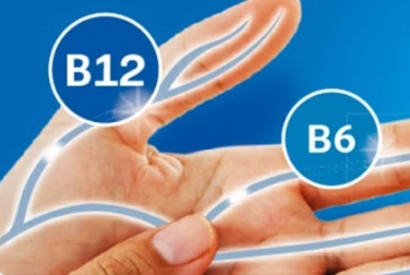 Vitamin B6 & B12