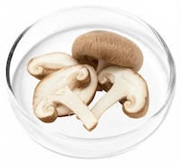 Cholecalciferol (Vitamin D3)