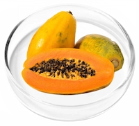 Papaya Powder