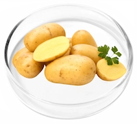 Pyridoxal 5'-Phosphate (Vitamin B6)